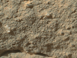 curiosity le tomo una fotografia a una flor marciana curiosity le tomo una fotografia a una flor marciana