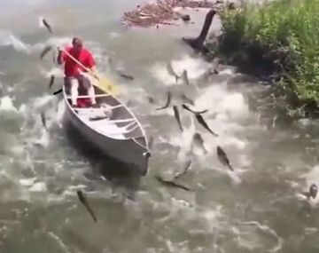 VIDEO: Lo atacaron los peces voladores