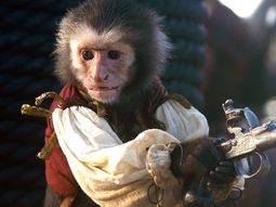 El monito de Piratas del Caribe