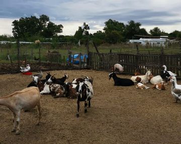 El actual refugio Los Salvajes, en City Bell.