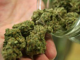 uruguay analiza permitir a los turistas el acceso a la marihuana recreativa legal uruguay analiza permitir a los turistas el acceso a la marihuana recreativa legal