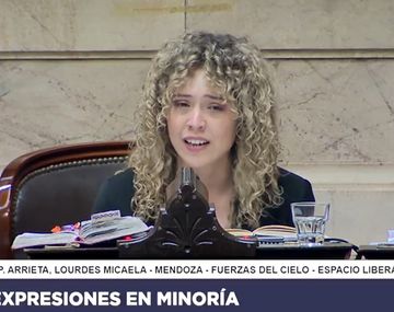 El llanto de Lourdes Arrieta al explicar por qué no dio quórum a la ley de Ficha Limpia