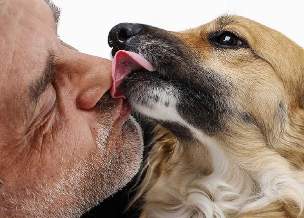 Ojo con besar a las mascotas: descubren que podrían transmitir bacterias superdesarrolladas