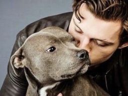 Tom Holland llora su pérdida más dolorosa mientras Zendaya está de gira