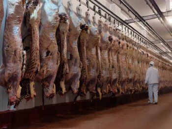 Se oficializó la reapertura parcial de exportación de carne: los detalles del DNU