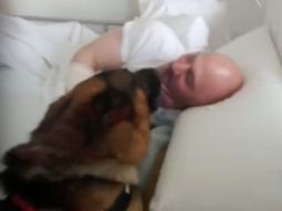 VIDEO: Tierno reencuentro entre un pastor alemán y su dueño cuadripléjico