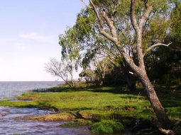 El pequeño pueblo rural y costero a orillas del Río de la Plata. El pequeño pueblo rural y costero a orillas del Río de la Plata.