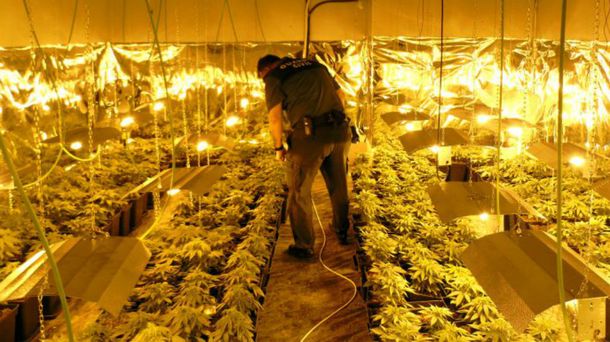 La platación dejó sin luz a un pueblo en España