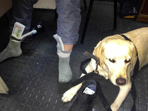 Descubren a un hombre que pretendía ingresar US$ 100 mil ocultos en una campera