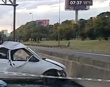 Un camión con 6 mil kilos de carne chocó y volcó en Panamericana