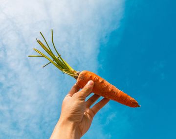 El licuado que otorga colágeno