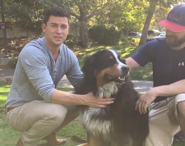 VIDEO: El emotivo reencuentro de una familia con su perro perdido