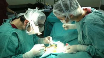 frenan trasplante por sospecha de venta encubierta frenan trasplante por sospecha de venta encubierta