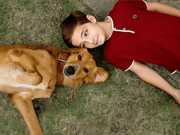 La película más conmovedora, protagonizada por un perro.