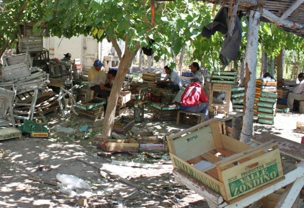 Megaoperativo contra trabajo esclavo: 80 allanamientos