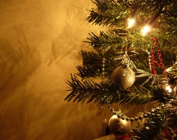 ¿Cuánto cuesta armar el arbolito de Navidad?