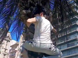 Video: therian de 38 años que se autopercibe mono reavivó el debate en redes