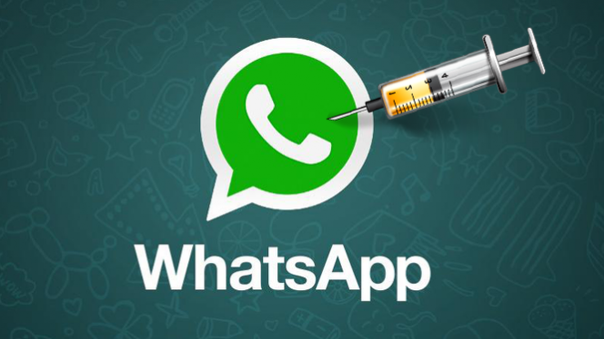 Your whatsapp