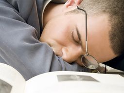 Tomando_la_siesta_dt-1