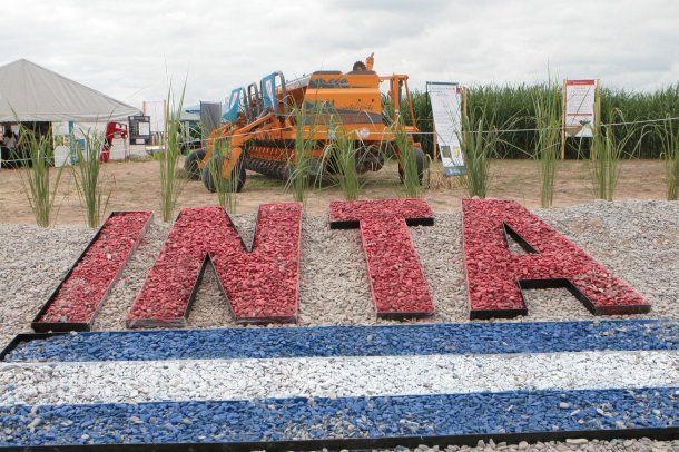El Gobierno eliminó la Dirección Nacional del INTA