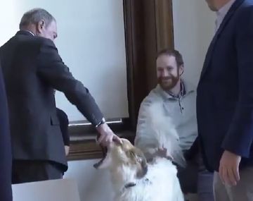 El gesto polémico de un candidato con un perro se volvió en spot de campaña