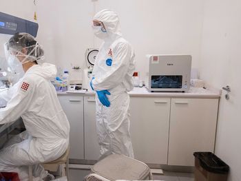 En Oxford aseguran que los contagiados de coronavirus pueden generar una inmunidad de seis meses