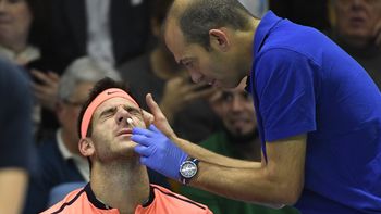 video: del potro tuvo que ser atendido por los medicos en plena final video: del potro tuvo que ser atendido por los medicos en plena final