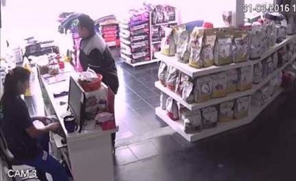 VIDEO: Robó una veterinaria, encerró a las empleadas y salió caminando