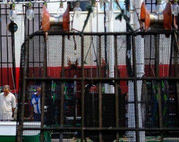 Mar del Plata: se descompensó en alta mar y debió ser evacuado