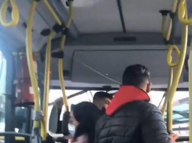 Relatos salvajes en la línea 37: chofer y pasajero discutieron y terminaron a las piñas en un colectivo