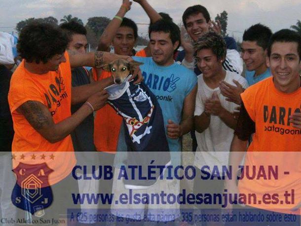 Perra agredida por un jugador es la mascota oficial del rival