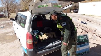 secuestran en jujuy 23 litros de cocaina ocultos en 48 botellas secuestran en jujuy 23 litros de cocaina ocultos en 48 botellas