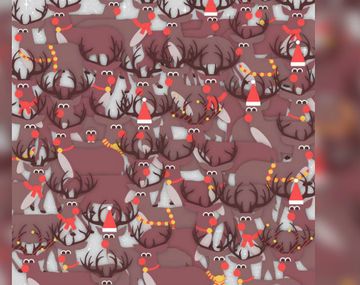 ¿A dónde está el pajarito?