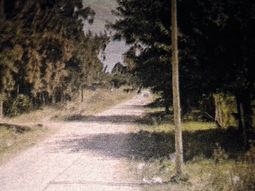 Merlo: entró a su casa, vio a su mujer en un trío sexual y lo mataron