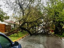 El fuerte temporal afectó a toda la Costa Atlántica