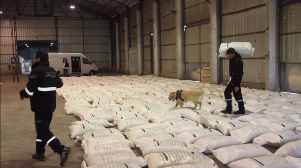 Operación risotto: querían enviar cocaína a África en granos de arroz