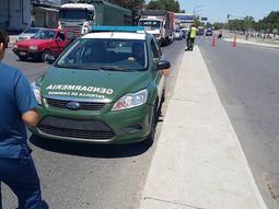 segun la fiscalia, los murgueros agredidos en el bajo flores no tenian armas segun la fiscalia, los murgueros agredidos en el bajo flores no tenian armas