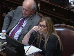 Senado: el kirchnerismo propone eliminar la indigencia