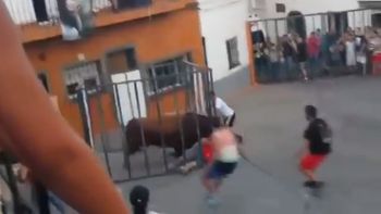 impactante: provoco a un toro desde una jaula y el animal casi lo mata impactante: provoco a un toro desde una jaula y el animal casi lo mata