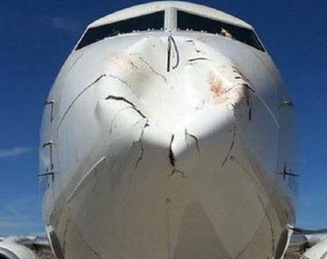 No vas a poder creer contra qué chocó este avión