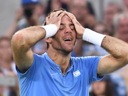 juan martin del potro recibio la invitacion y jugara el us open juan martin del potro recibio la invitacion y jugara el us open