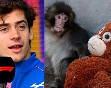 La inesperada confesión de Colapinto sobre el monito viral Punch que sorprendió a sus fans