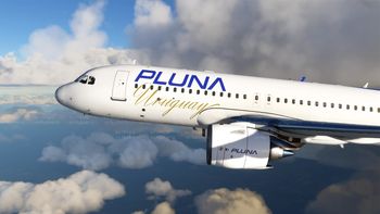 El estado uruguayo deberá pagar una suma millonaria por el caso de Pluna. El estado uruguayo deberá pagar una suma millonaria por el caso de Pluna.