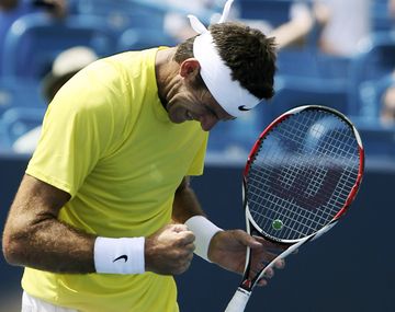 Del Potro venció a Tursunov y llegó a las semis en Cincinnati