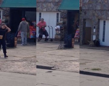 Un pitbull descontrolado atacó y mató a tres perros en La Plata