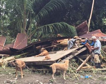 Anciano se negó a dejar sus perros por el huracán Otto
