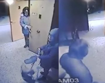 Así fue el salvaje ataque a un perro