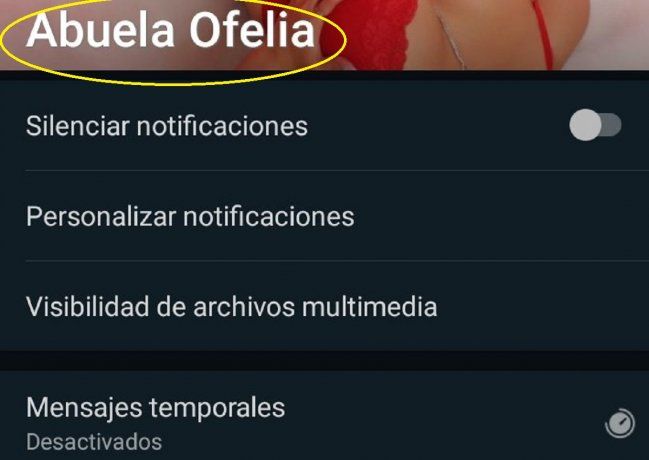 Se llevó una sorpresa al revisar el contacto de WhatsApp de su abuela fallecida y es viral