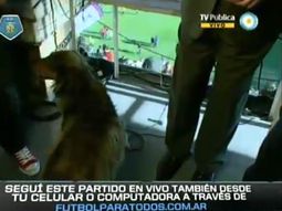 insolito: un perro invadio la cabina de marcelo araujo insolito: un perro invadio la cabina de marcelo araujo