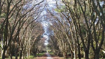 una joven fue encontrada asesinada en el parque pereyra iraola una joven fue encontrada asesinada en el parque pereyra iraola